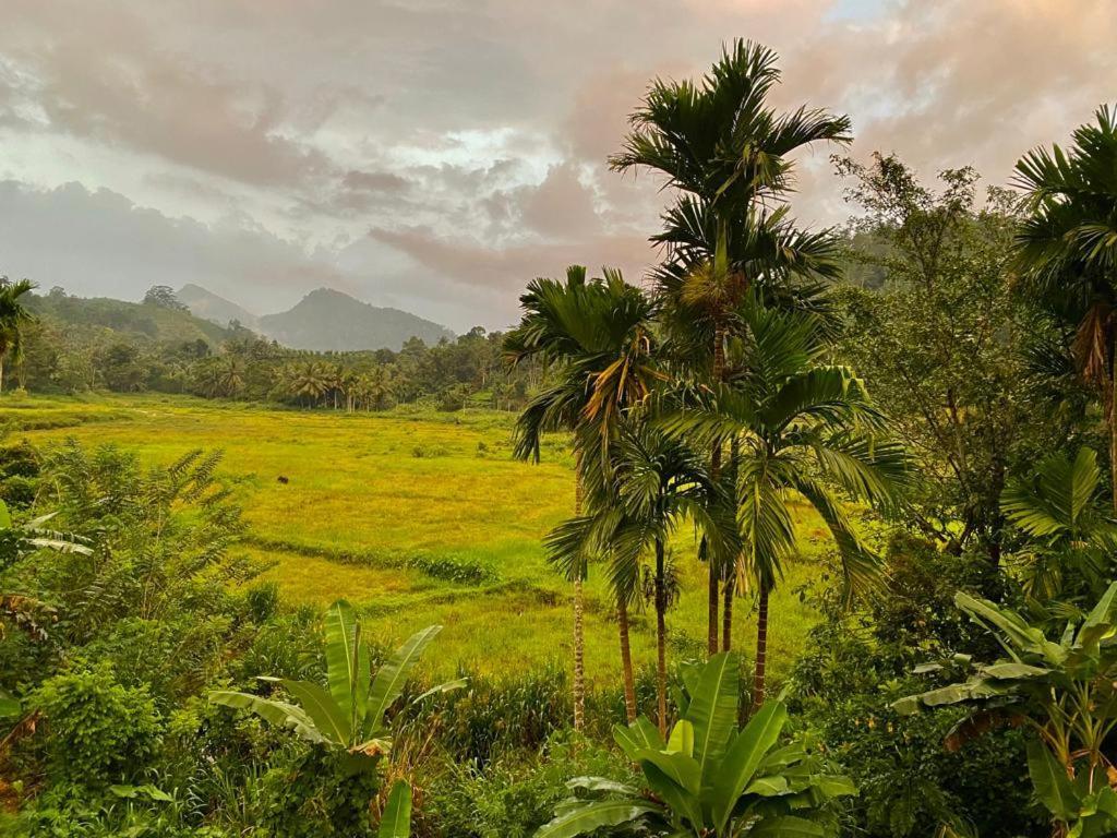 Rainforest Holiday Inn Deniyaya Luaran gambar