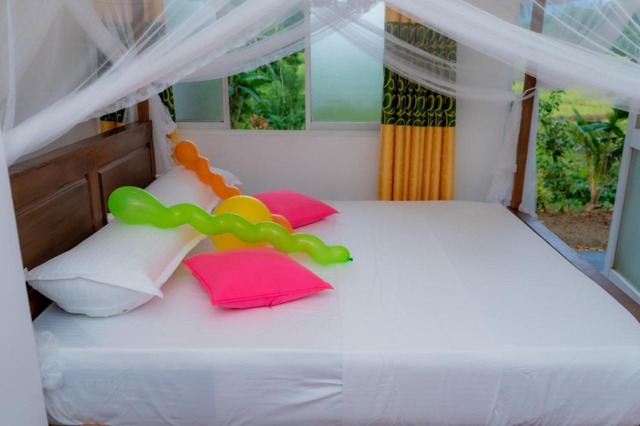 Rainforest Holiday Inn Deniyaya Luaran gambar