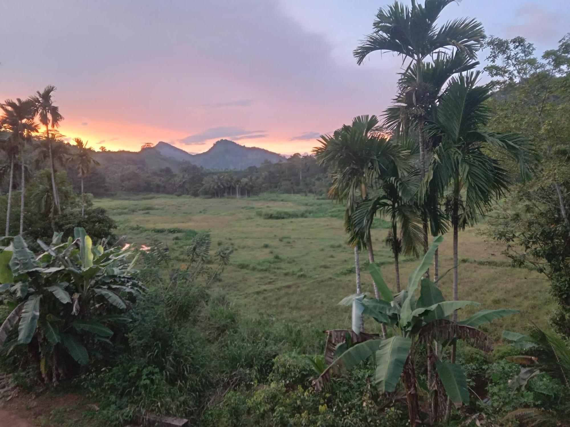 Rainforest Holiday Inn Deniyaya Luaran gambar