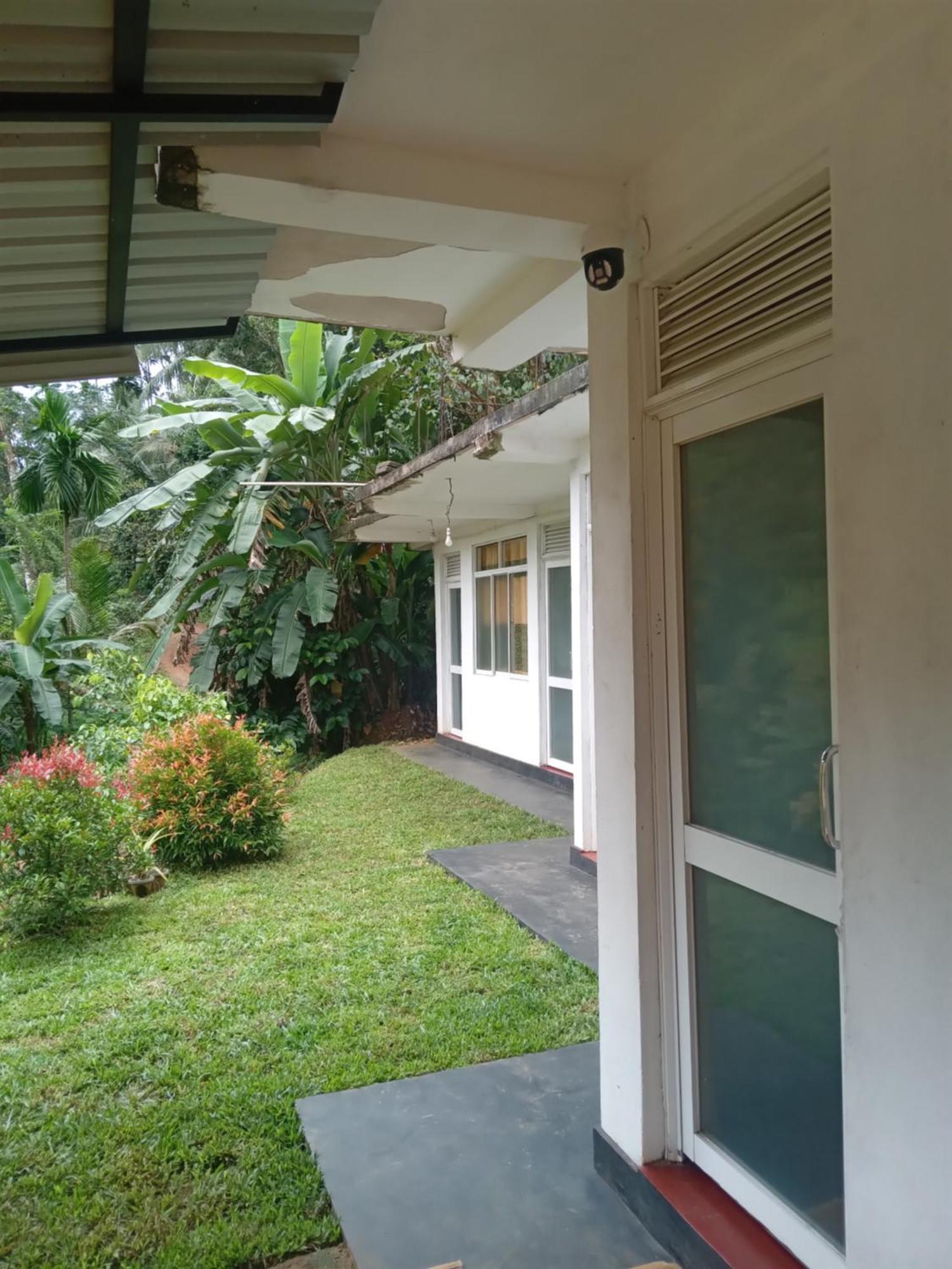 Rainforest Holiday Inn Deniyaya Luaran gambar