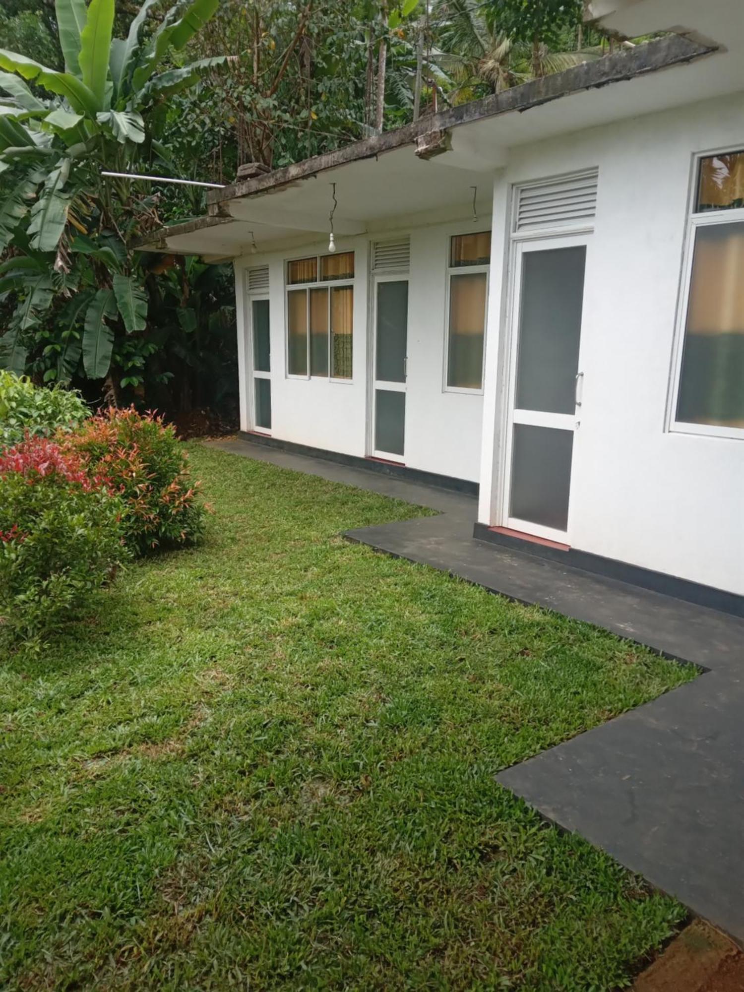 Rainforest Holiday Inn Deniyaya Luaran gambar