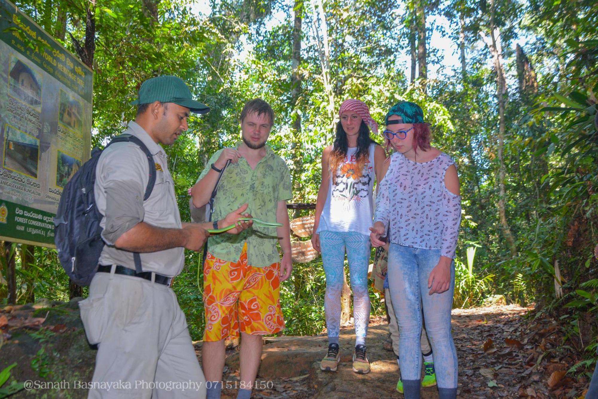 Rainforest Holiday Inn Deniyaya Luaran gambar
