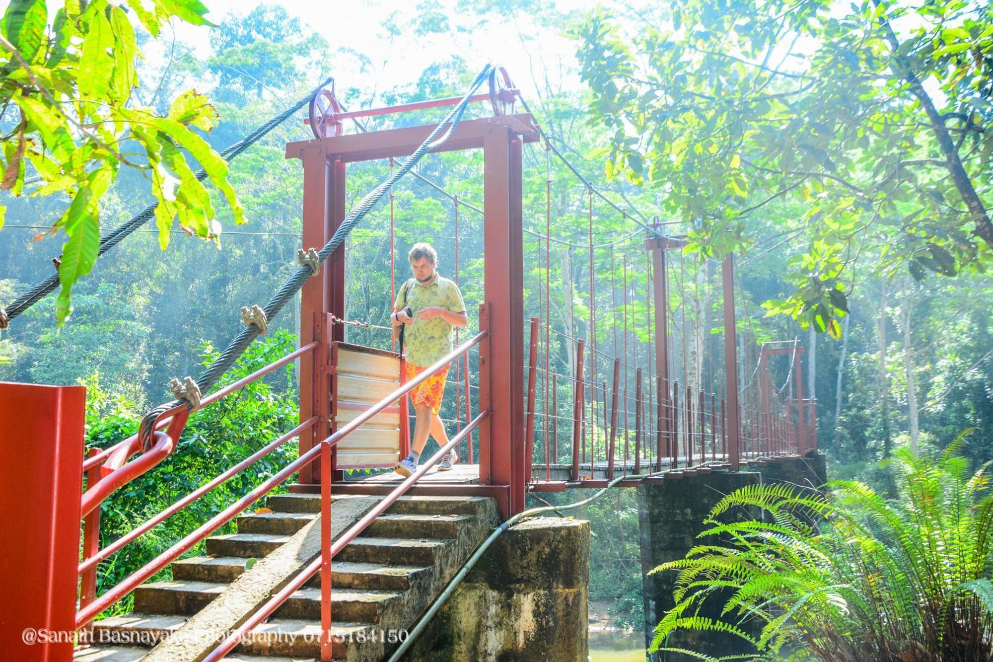 Rainforest Holiday Inn Deniyaya Luaran gambar