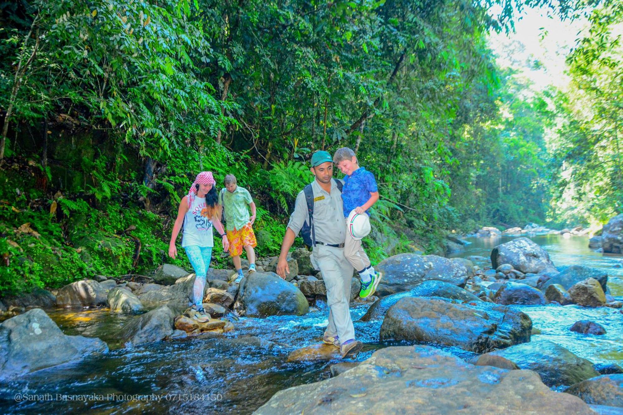 Rainforest Holiday Inn Deniyaya Luaran gambar