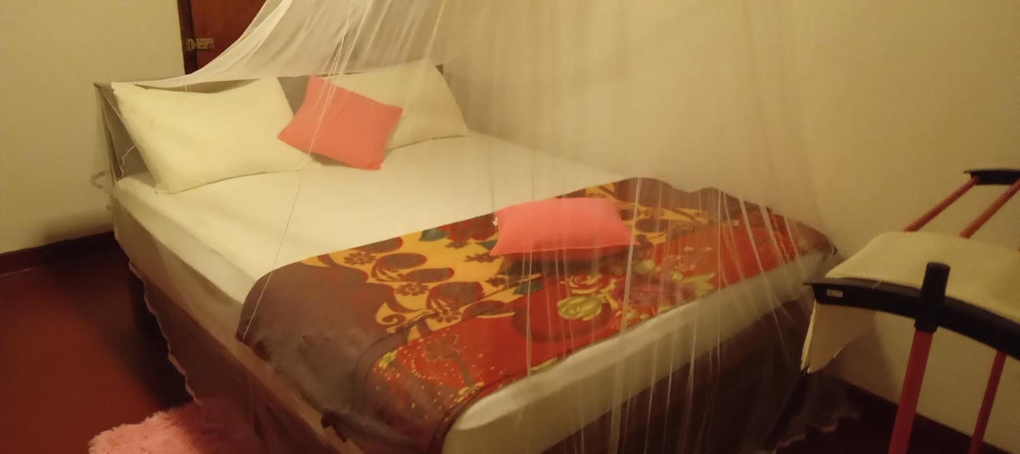 Rainforest Holiday Inn Deniyaya Bilik gambar