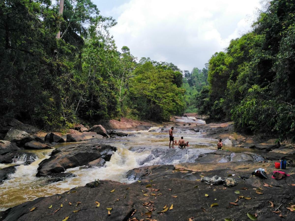 Rainforest Holiday Inn Deniyaya Luaran gambar