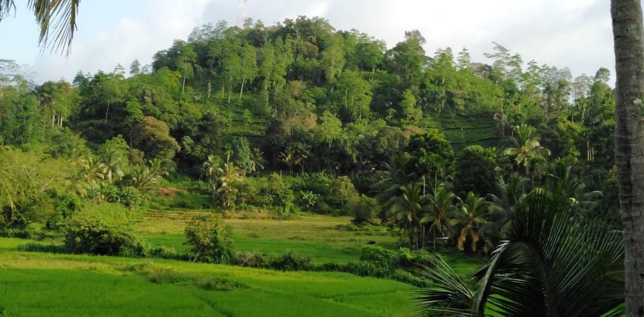 Rainforest Holiday Inn Deniyaya Luaran gambar