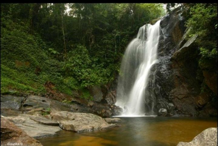 Rainforest Holiday Inn Deniyaya Luaran gambar